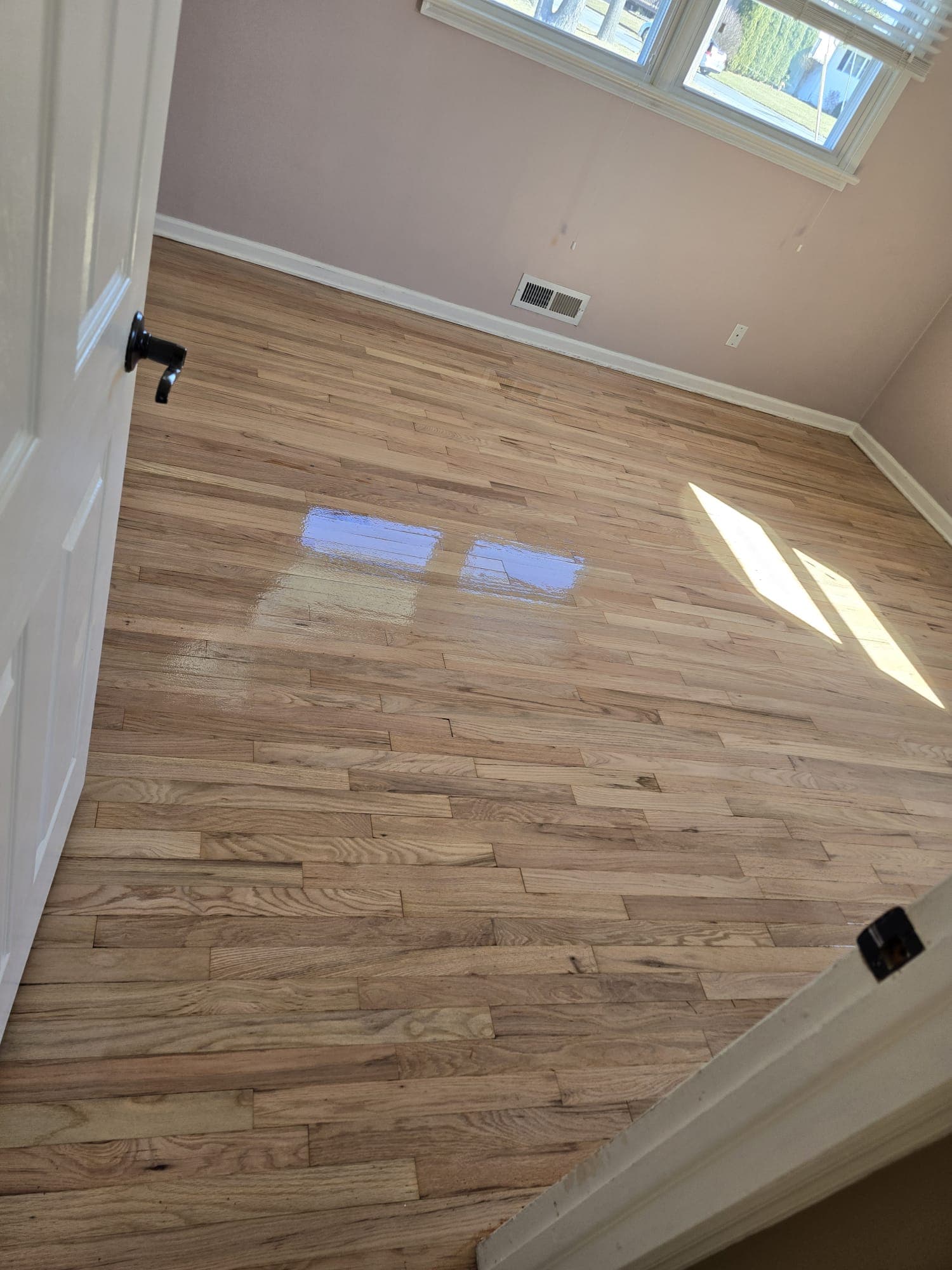 Gallery image.